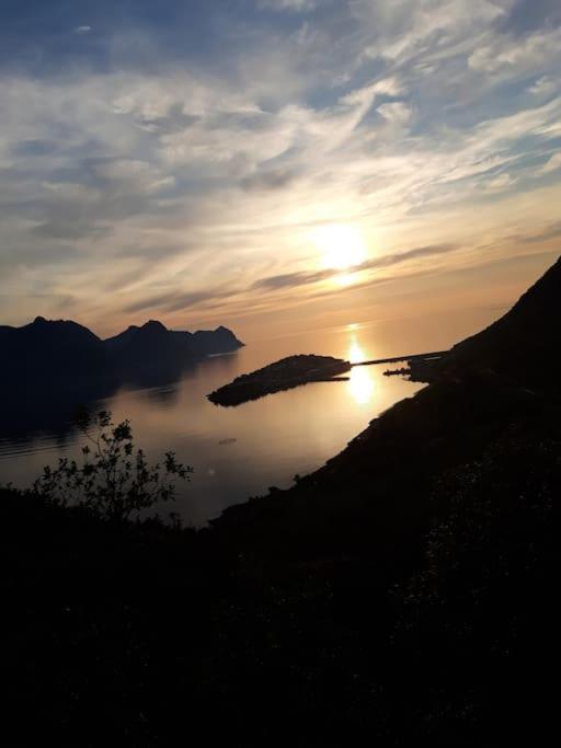 Senja, Husoy I Senja. Leilighet Med Utsikt Over Fjord Og Fjell Tofta Exterior photo