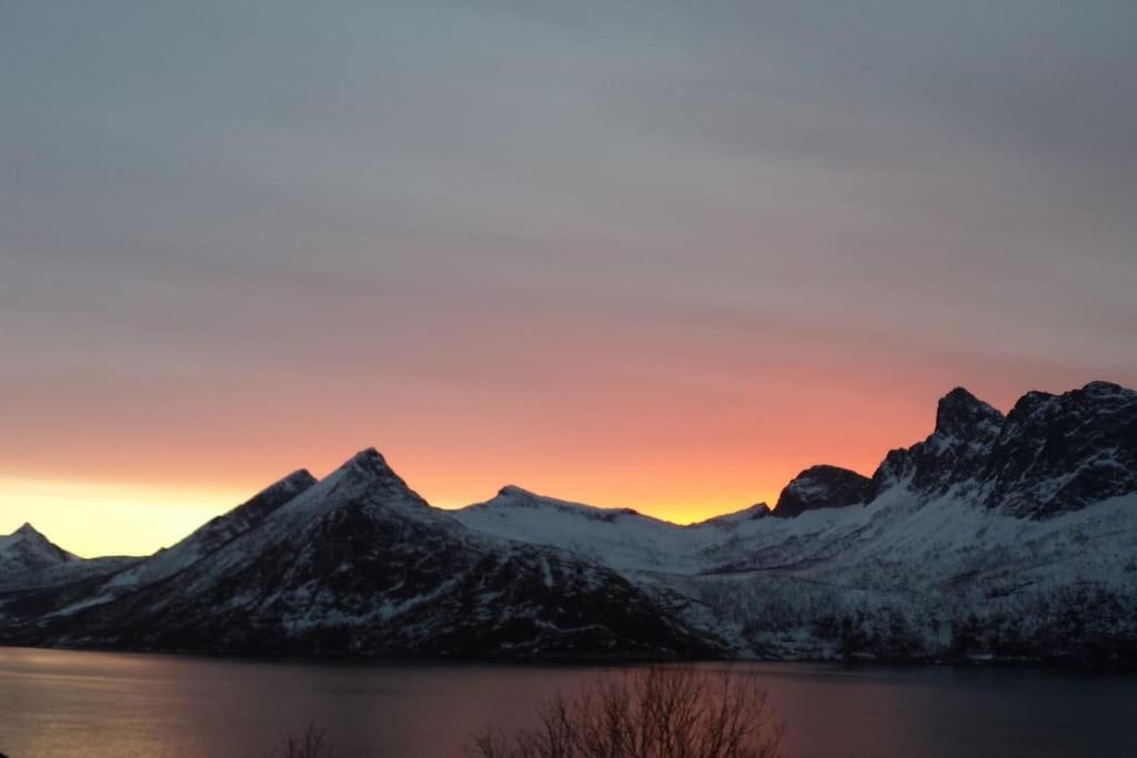 Senja, Husoy I Senja. Leilighet Med Utsikt Over Fjord Og Fjell Tofta Exterior photo