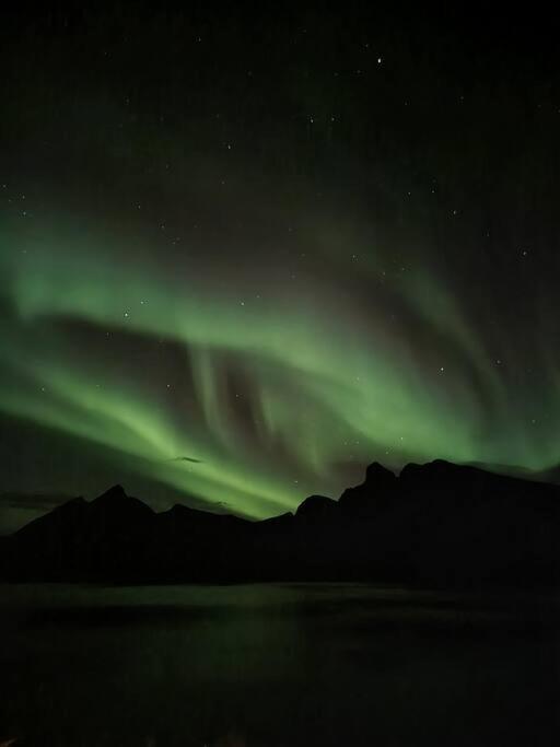Senja, Husoy I Senja. Leilighet Med Utsikt Over Fjord Og Fjell Tofta Exterior photo